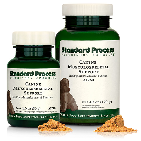 Standard Process dog supplements offered at Animal Wellness Veterinary Clinic in Boise, Idaho