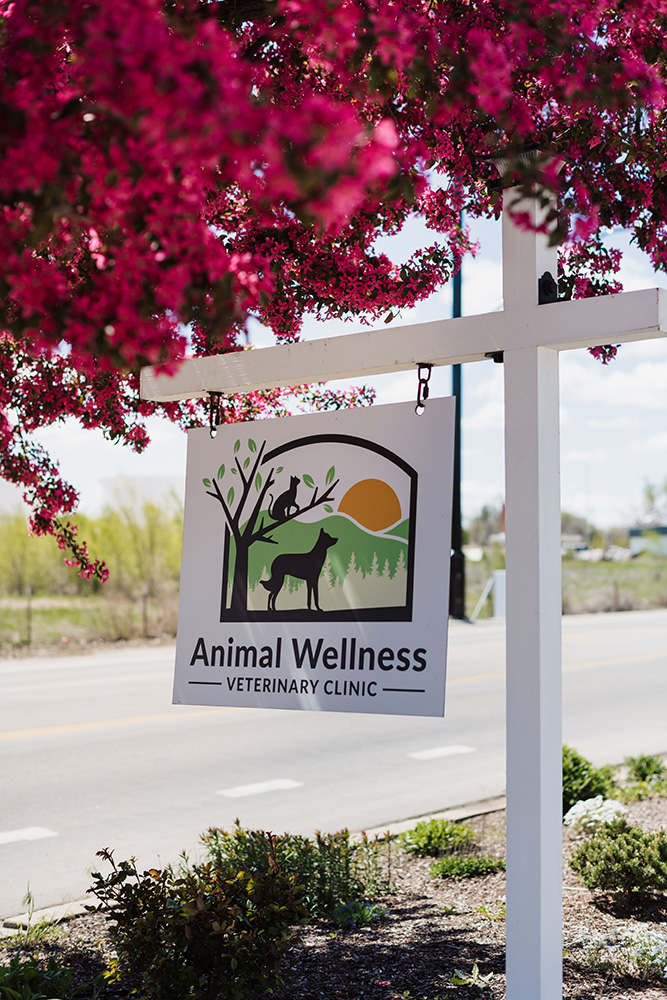 Photo of Signage at Animal Wellness Veterinary Clinic in Boise, Idaho