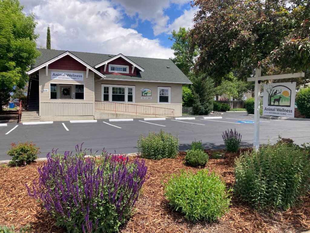 Photo of exterior of Dr. Anja Hunter's Animal Wellness Veterinary Clinic in Boise, Idaho